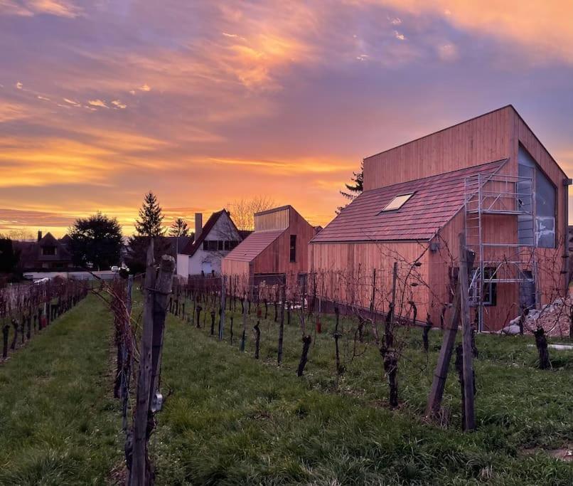 Villa Le Cepage, Au Coeur Des Vignes. à Eguisheim Extérieur photo